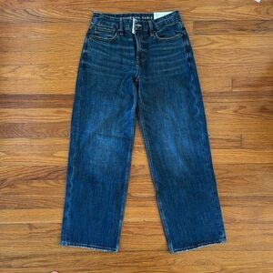 American Eagle Outfitters Curvy Stovepipe Jeans
